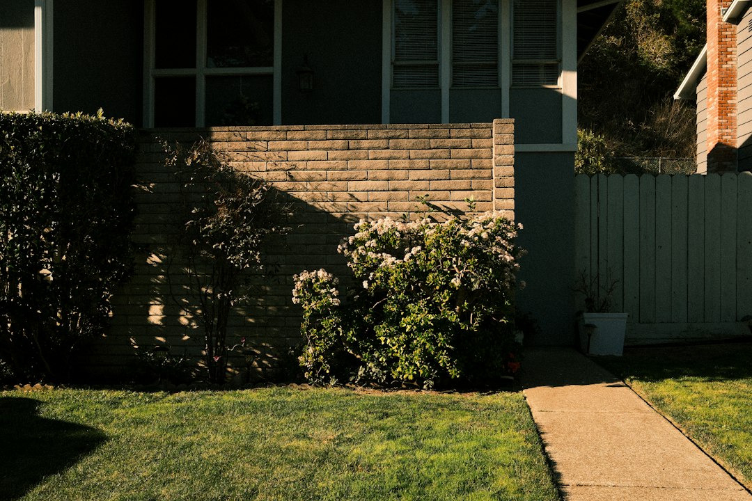 A suburban house with a walkway and green lawn